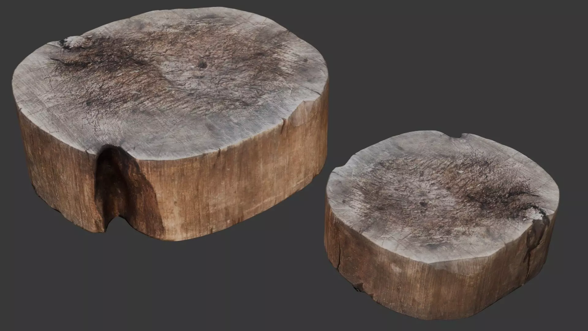 Tree Stump Scan Low-poly 3D model_0