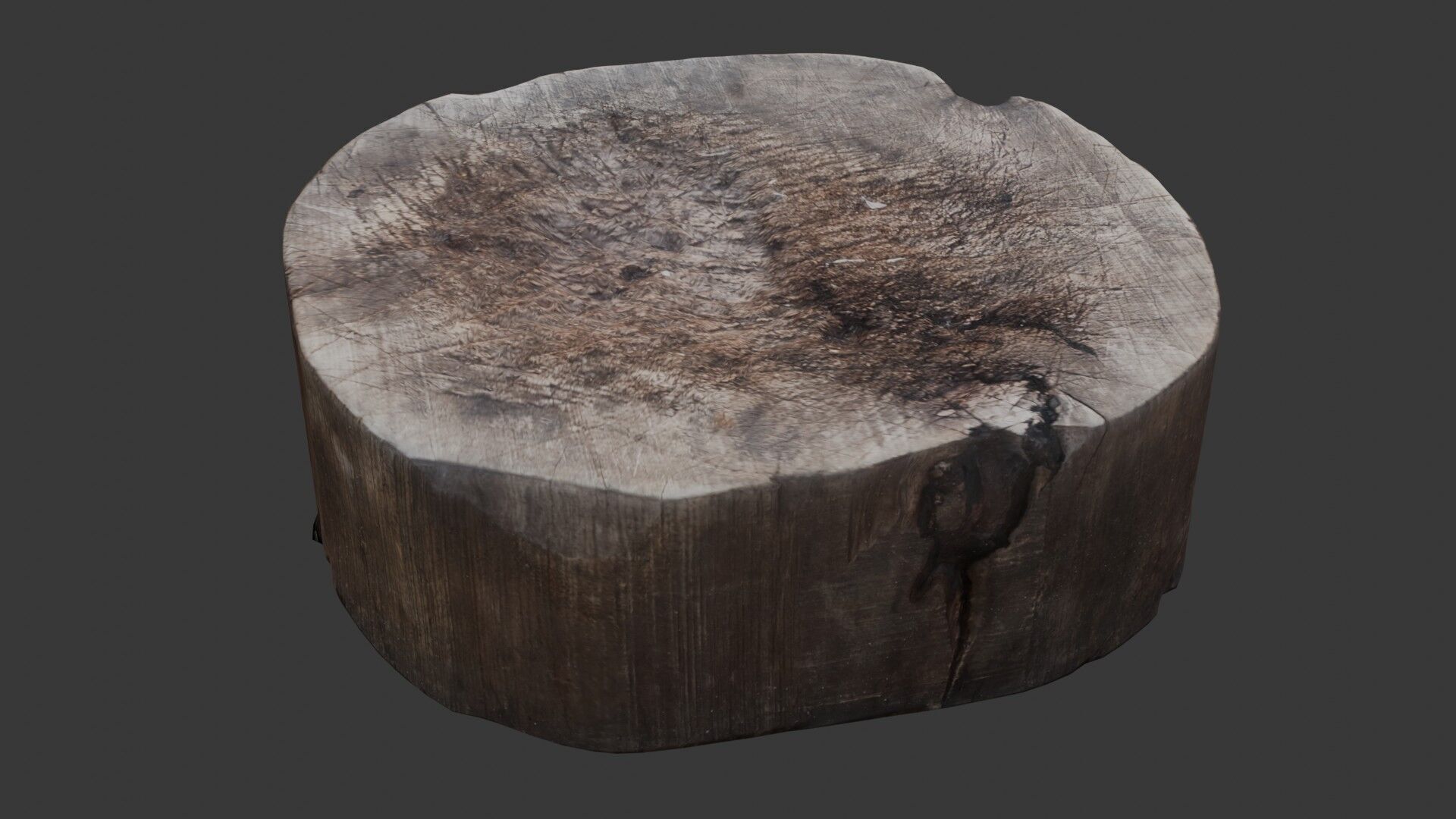 Tree Stump Scan Low-poly 3D model_6