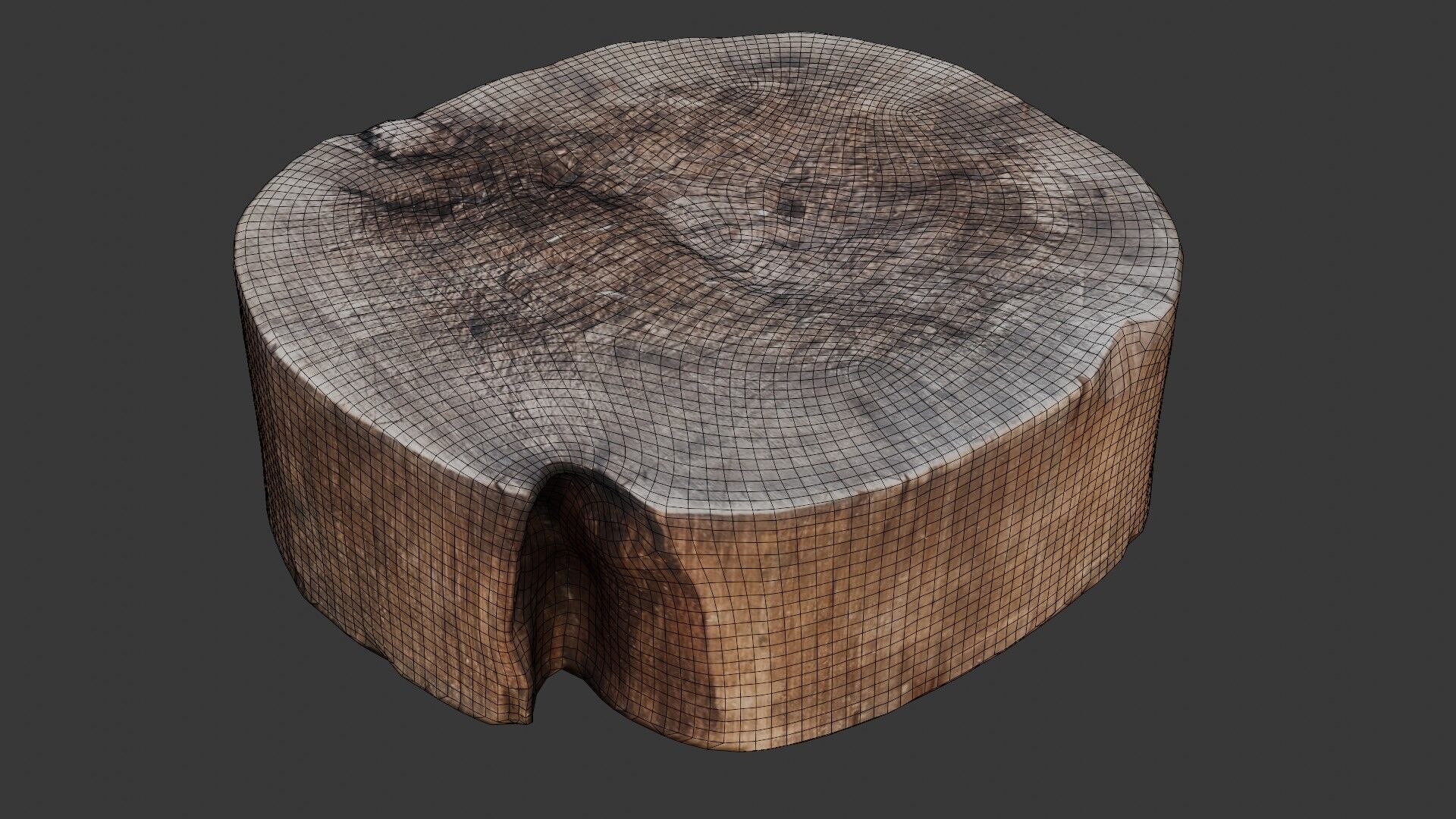 Tree Stump Scan Low-poly 3D model_2
