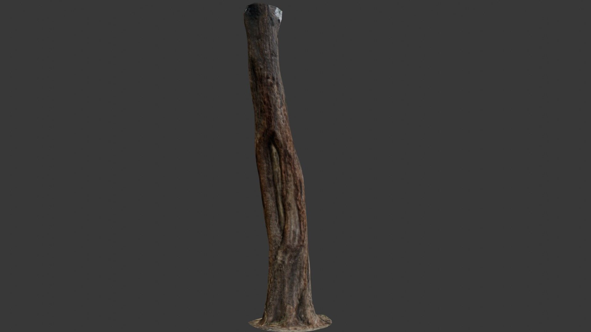 Old Weathered Tree Trunk Low-poly 3D model_4