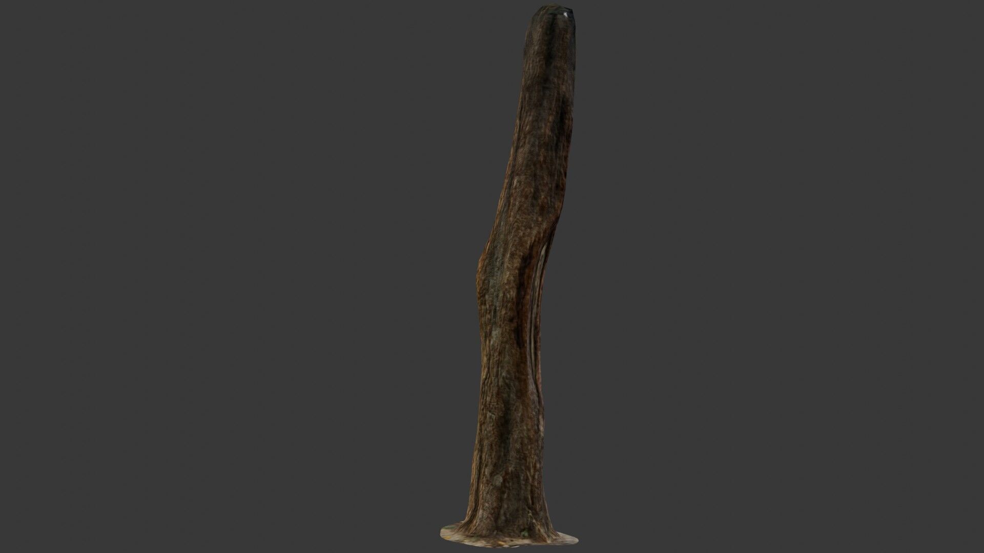Old Weathered Tree Trunk Low-poly 3D model_5