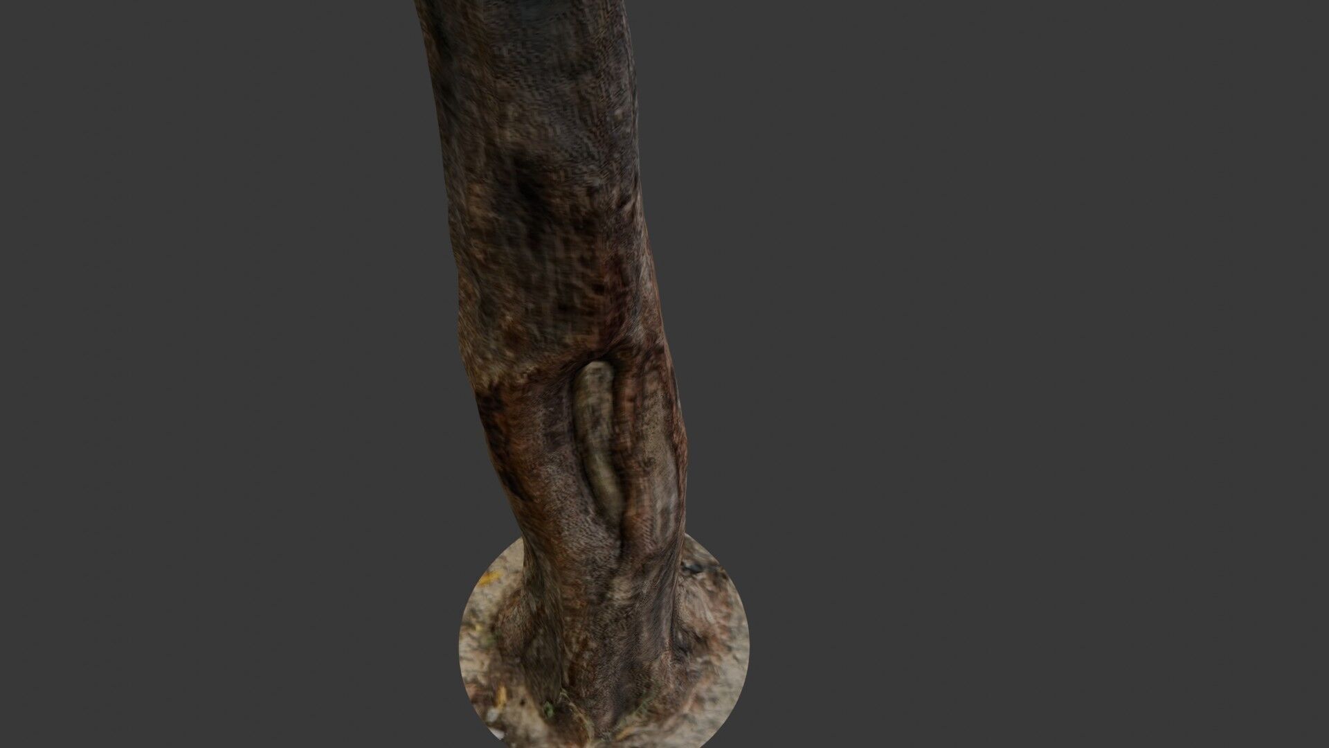 Old Weathered Tree Trunk Low-poly 3D model_7