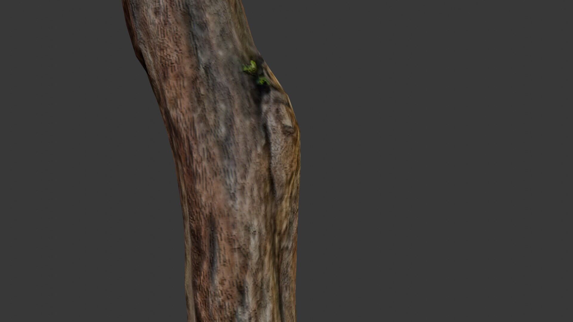 Old Weathered Tree Trunk Low-poly 3D model_3