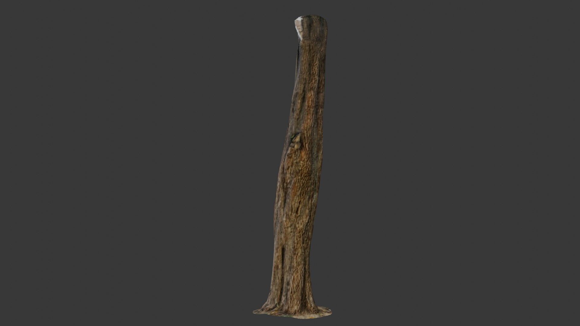 Old Weathered Tree Trunk Low-poly 3D model_6