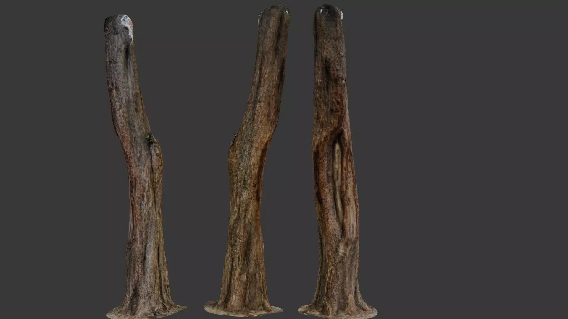 Old Weathered Tree Trunk Low-poly 3D model_0