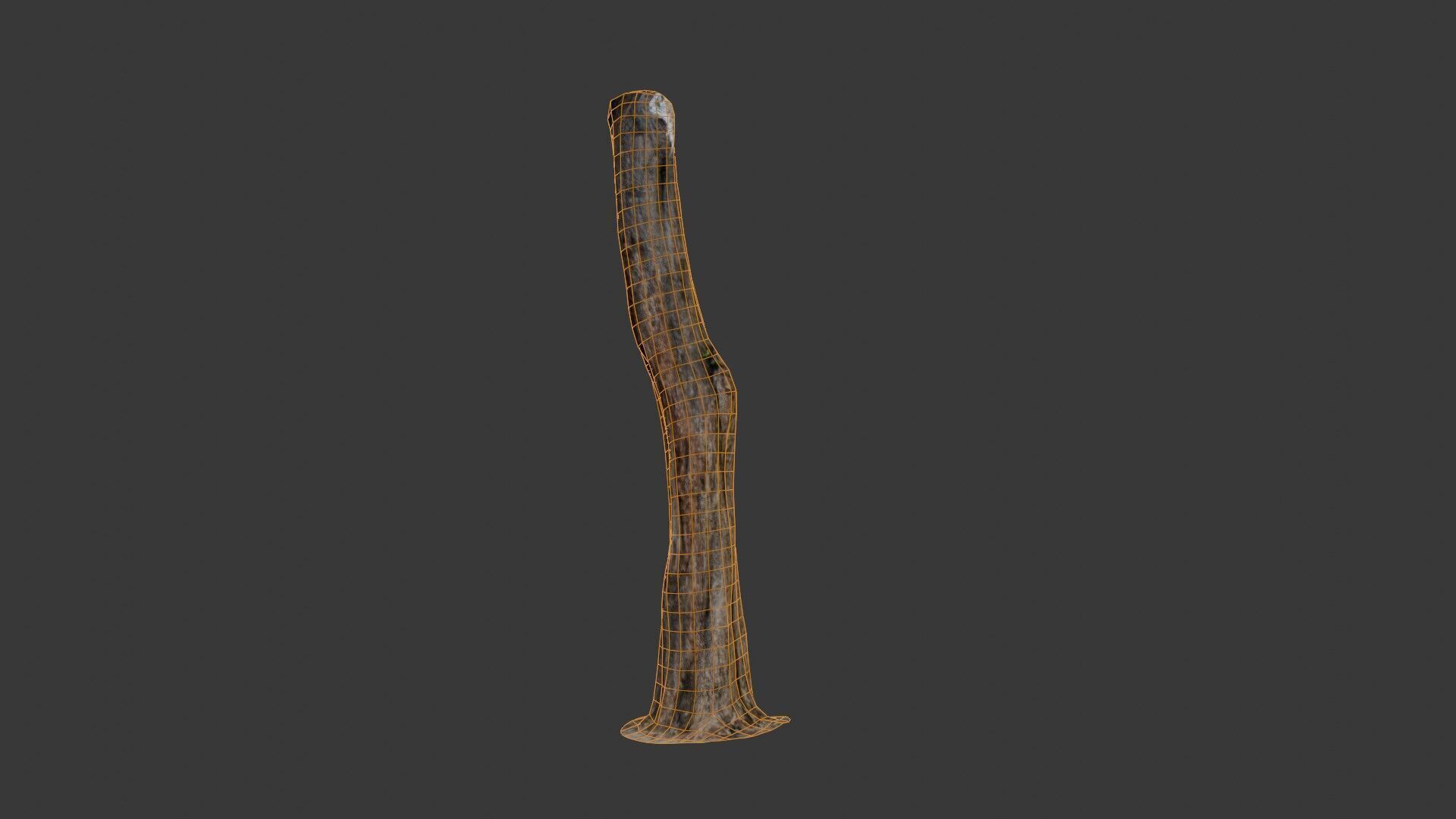 Old Weathered Tree Trunk Low-poly 3D model_2
