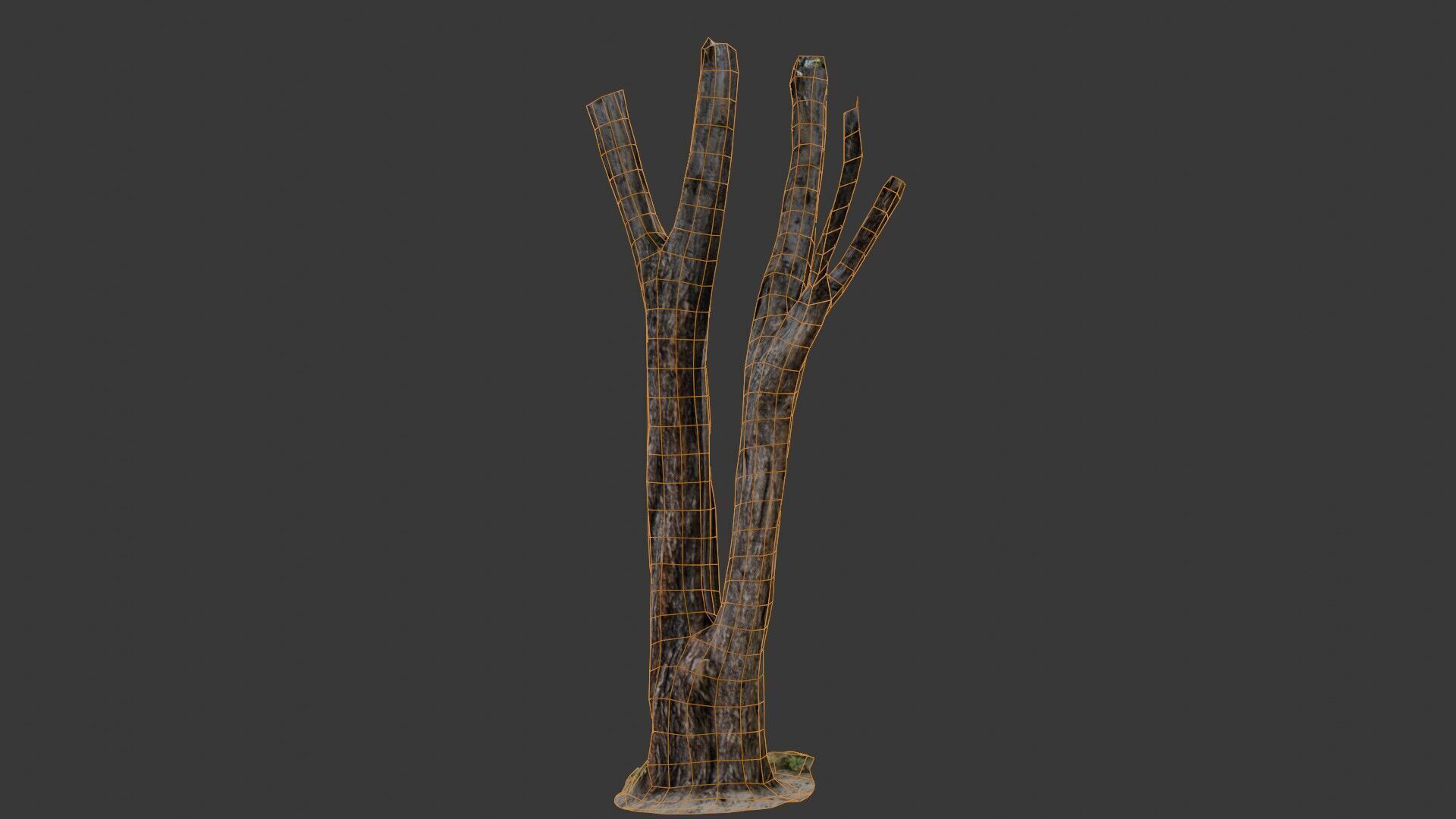 Broken Tree Trunk Low-poly 3D model_2