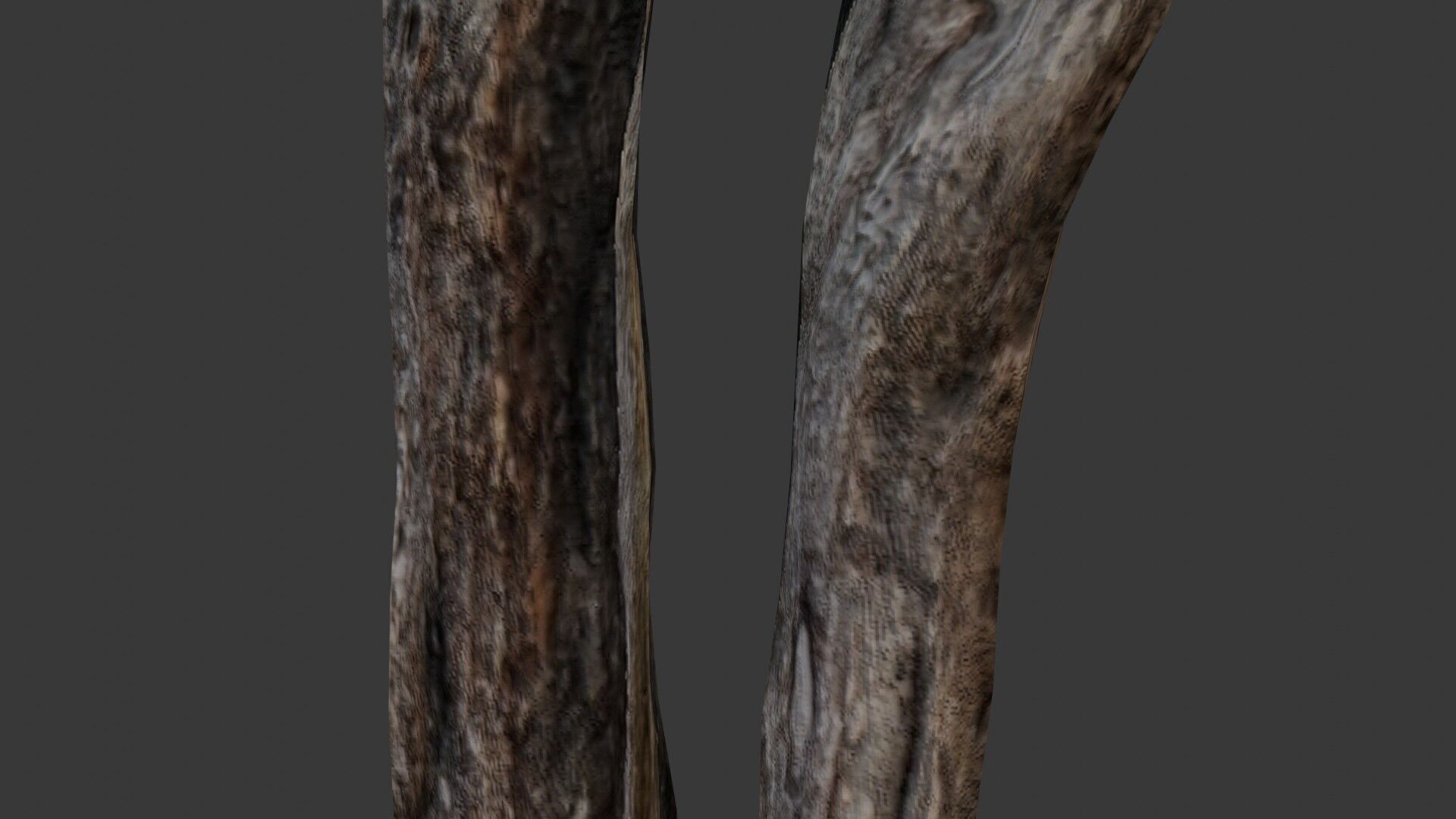 Broken Tree Trunk Low-poly 3D model_3