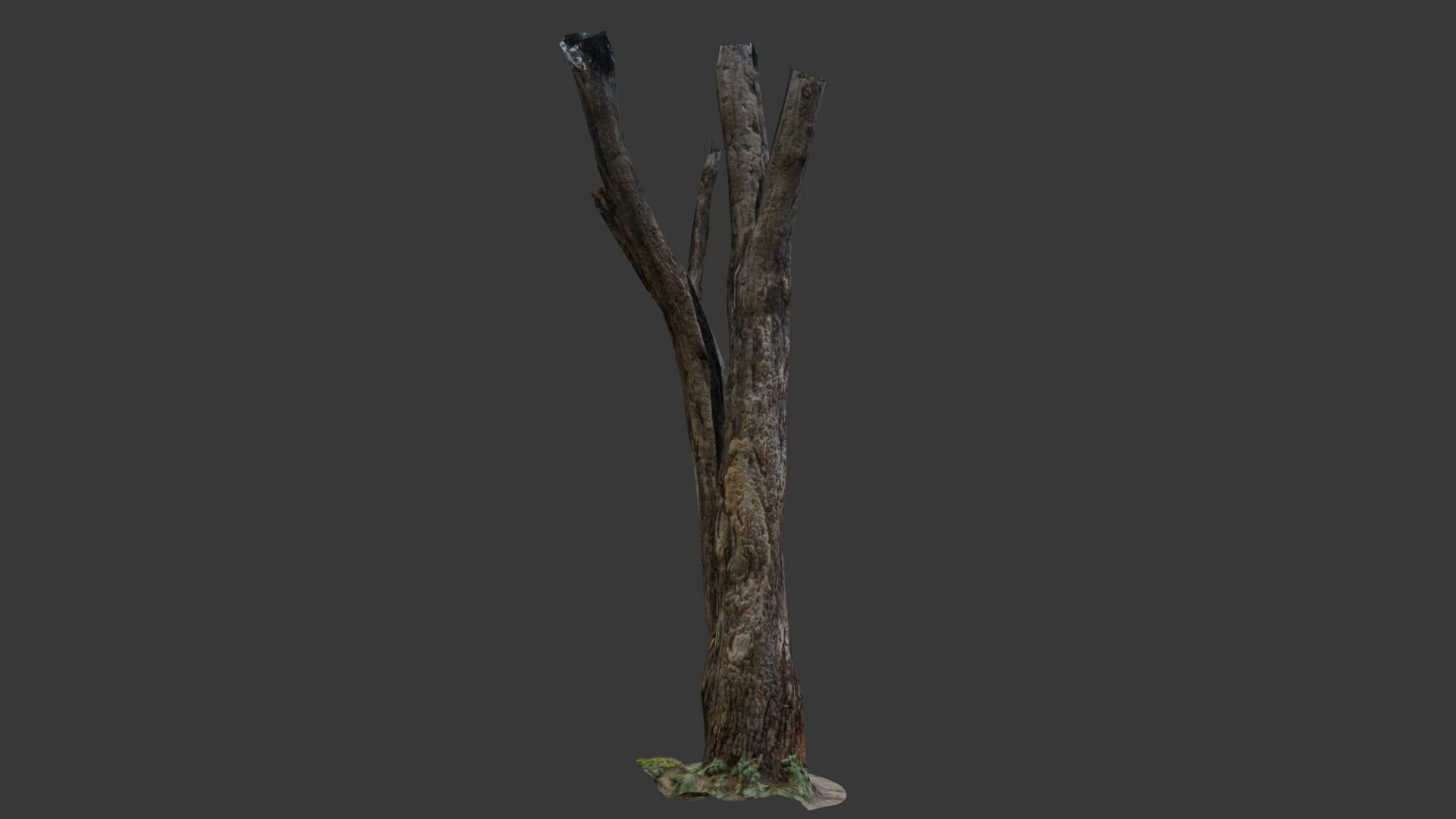 Broken Tree Trunk Low-poly 3D model_5