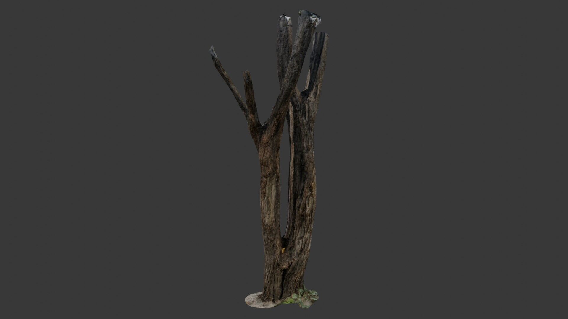 Broken Tree Trunk Low-poly 3D model_7