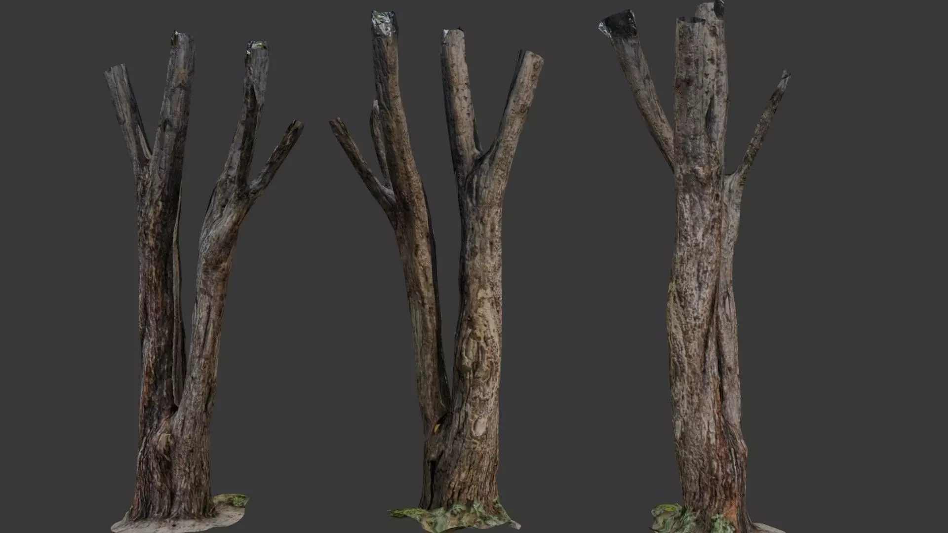 Broken Tree Trunk Low-poly 3D model_0