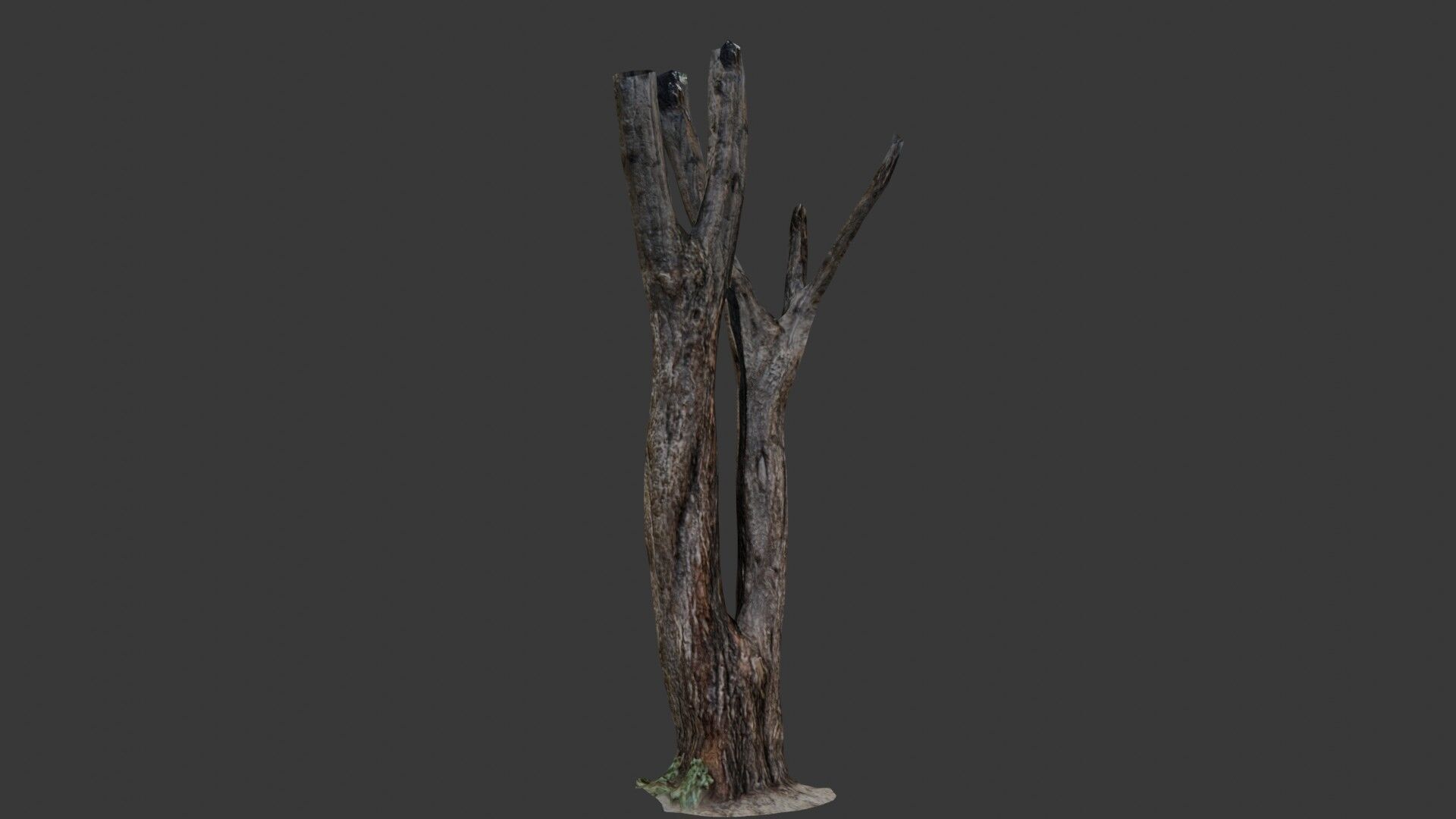 Broken Tree Trunk Low-poly 3D model_4