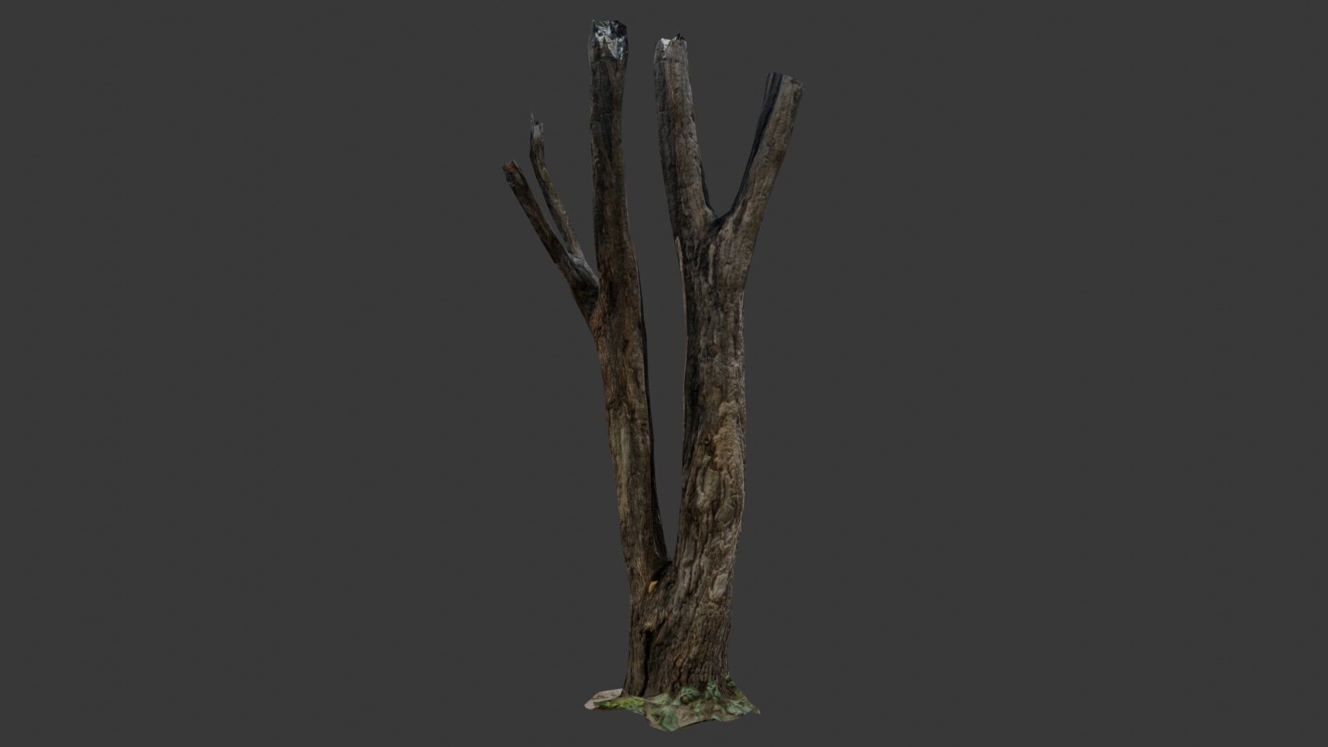 Broken Tree Trunk Low-poly 3D model_6