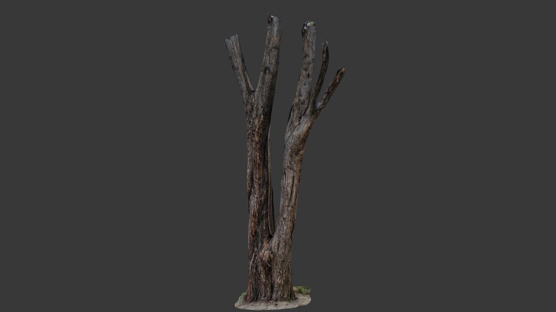 Broken Tree Trunk Low-poly 3D model_1