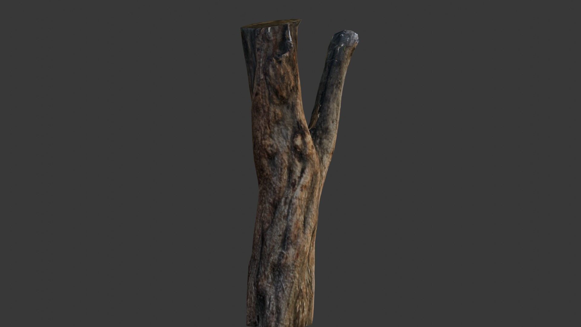 Weathered Tree Stump Low-poly 3D model_4