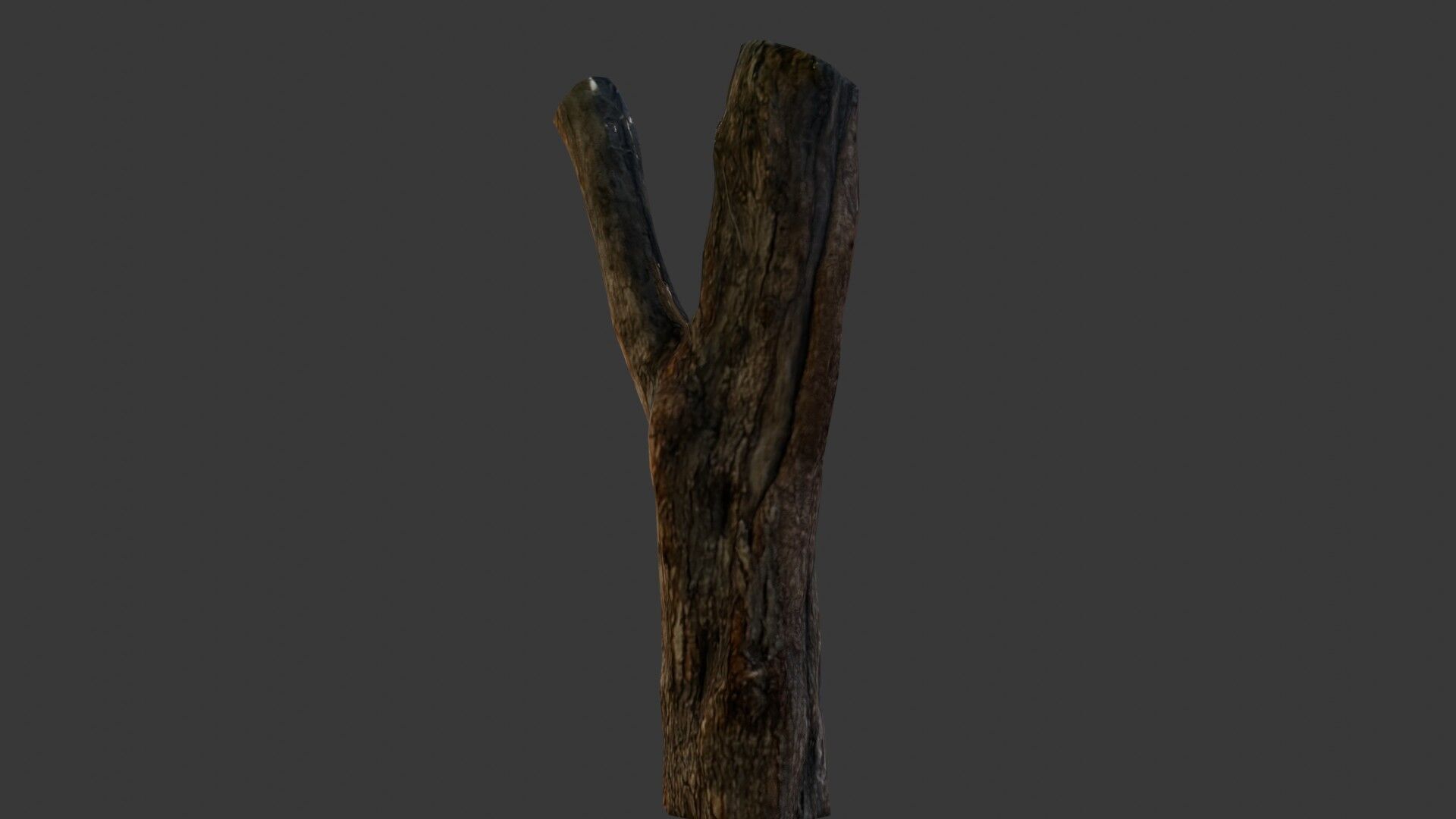 Weathered Tree Stump Low-poly 3D model_5