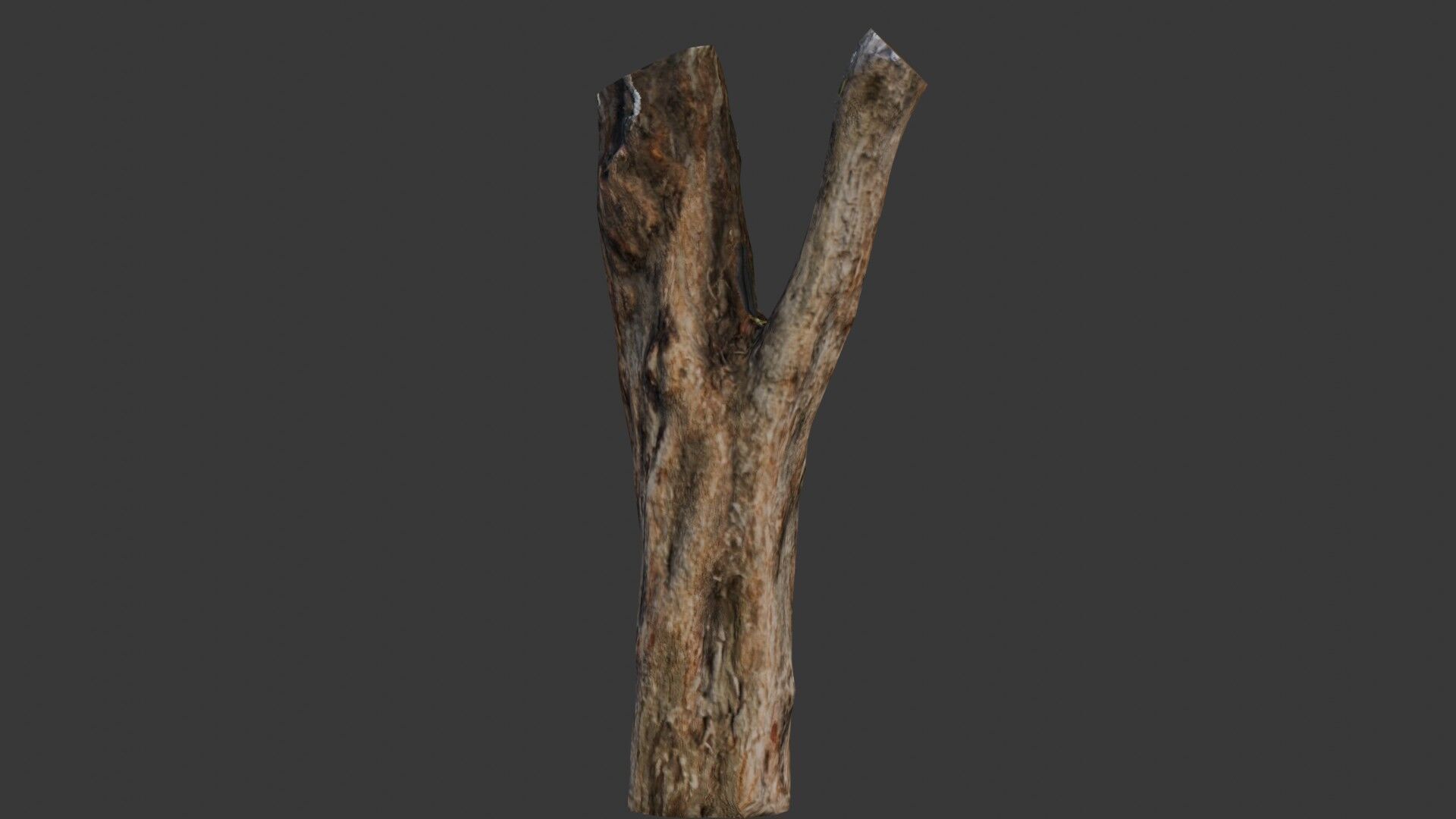 Weathered Tree Stump Low-poly 3D model_1