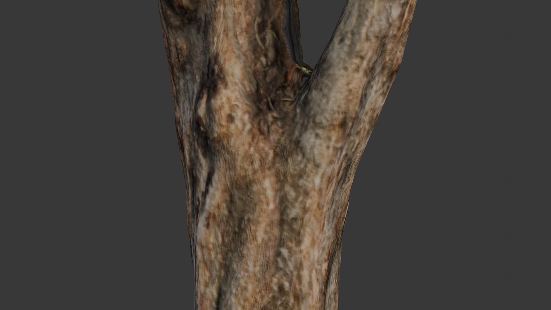 Weathered Tree Stump Low-poly 3D model_3