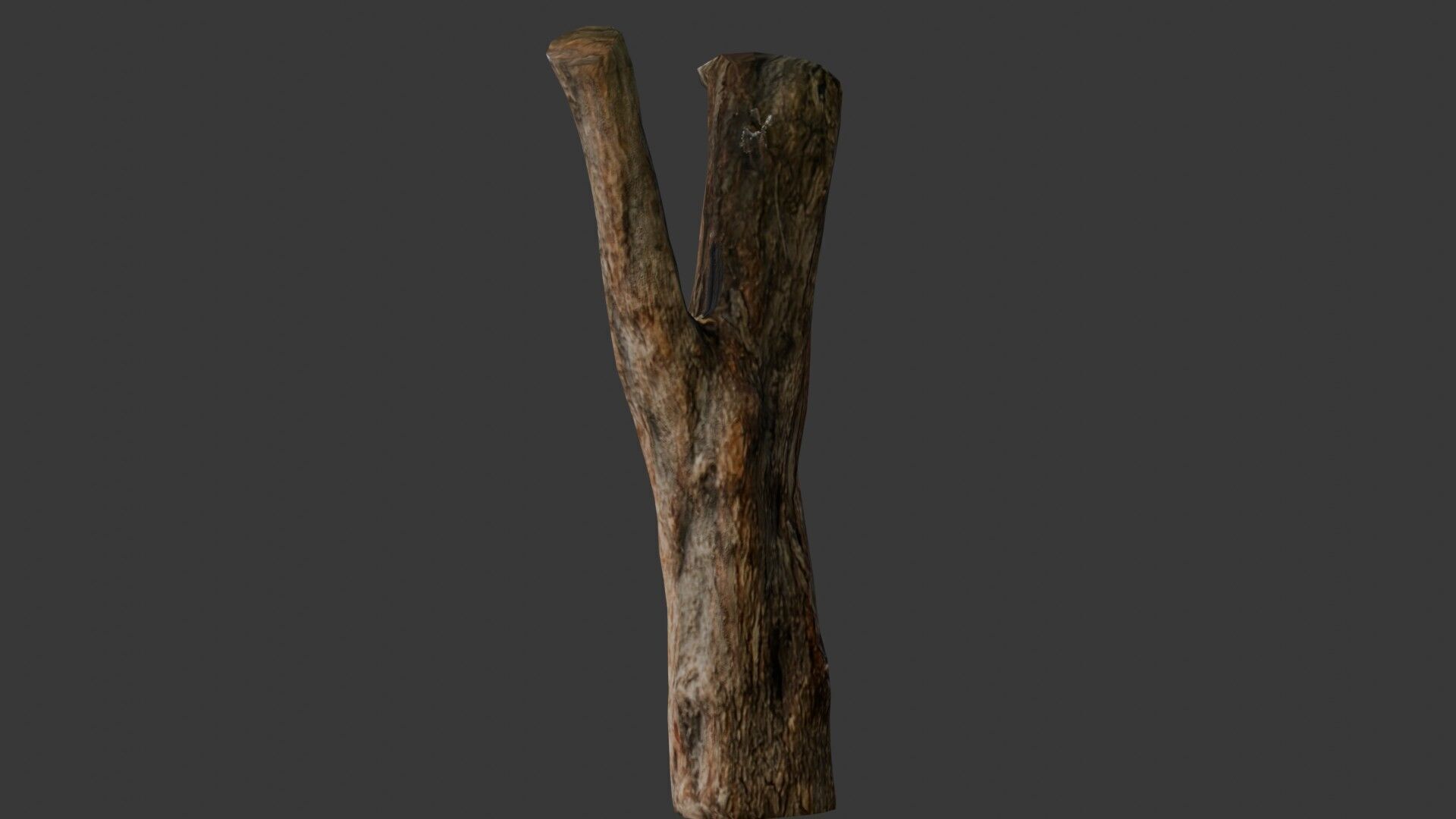 Weathered Tree Stump Low-poly 3D model_6