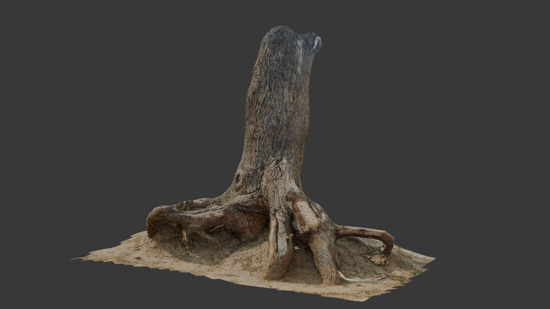 Large Broken Tree Stump with Exposed Roots Low-poly 3D model_4