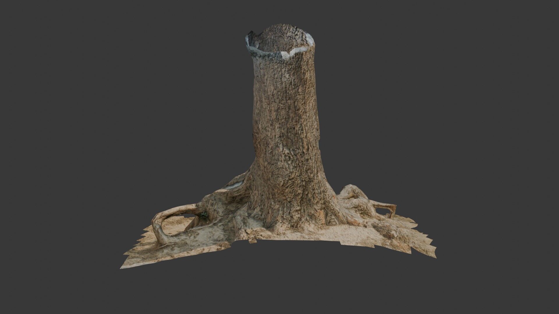 Large Broken Tree Stump with Exposed Roots Low-poly 3D model_7