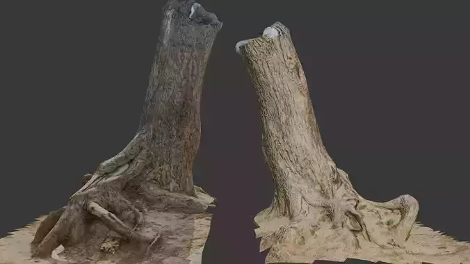 Large Broken Tree Stump with Exposed Roots Low-poly 3D model