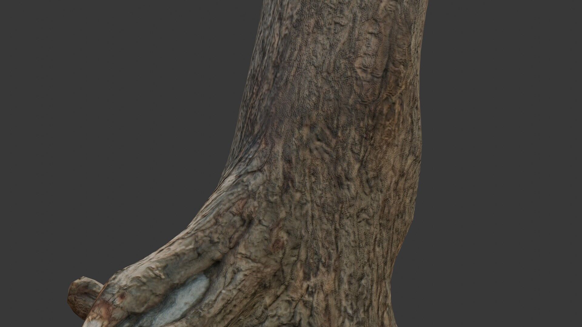 Large Broken Tree Stump with Exposed Roots Low-poly 3D model_3