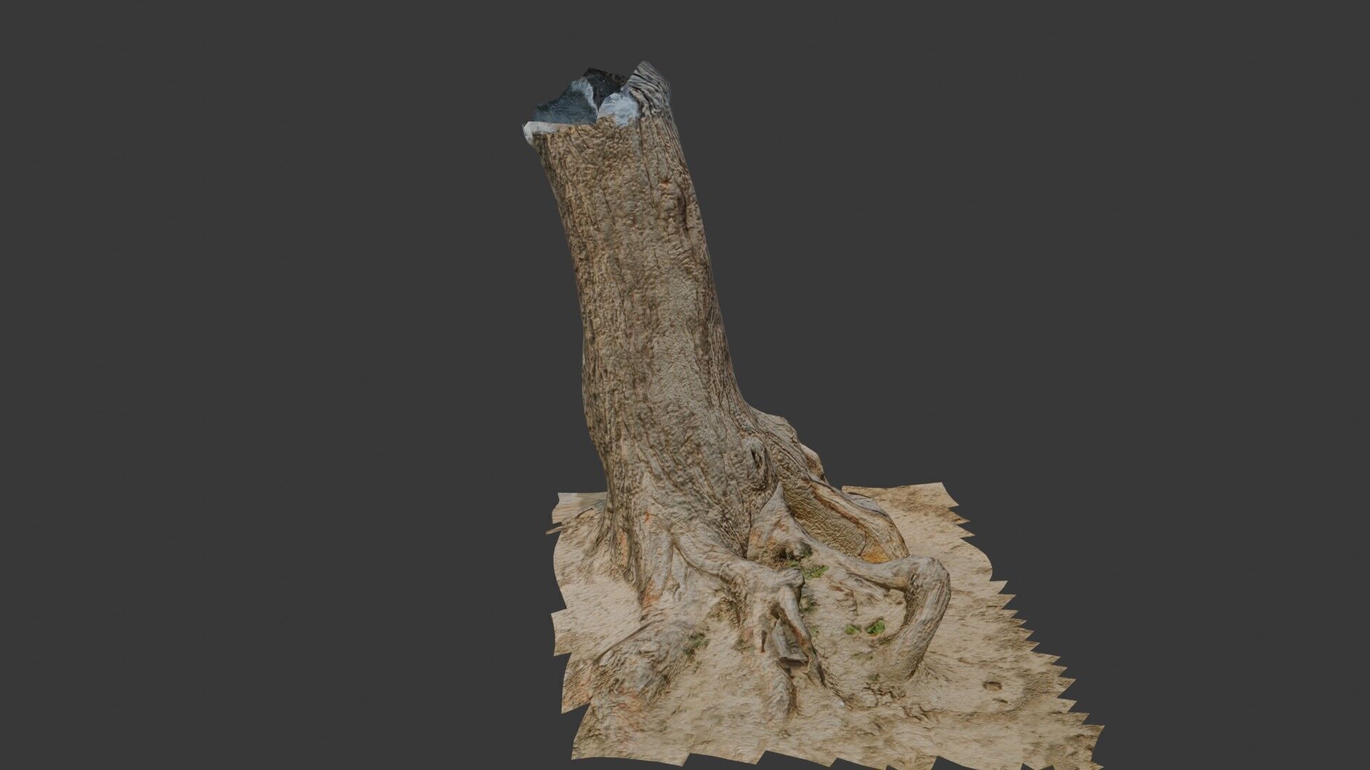 Large Broken Tree Stump with Exposed Roots Low-poly 3D model_6