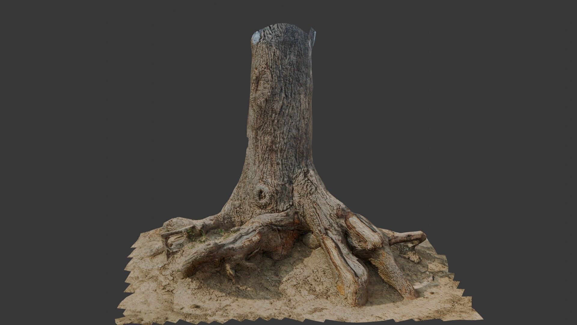 Large Broken Tree Stump with Exposed Roots Low-poly 3D model_5