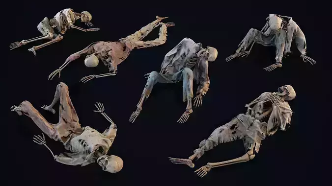 Skeleton Remains 1 3D Model Collection