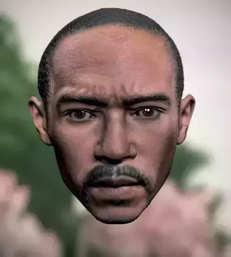  Sam Wilson Captain America brave new world Anthony Mackie 3D print model