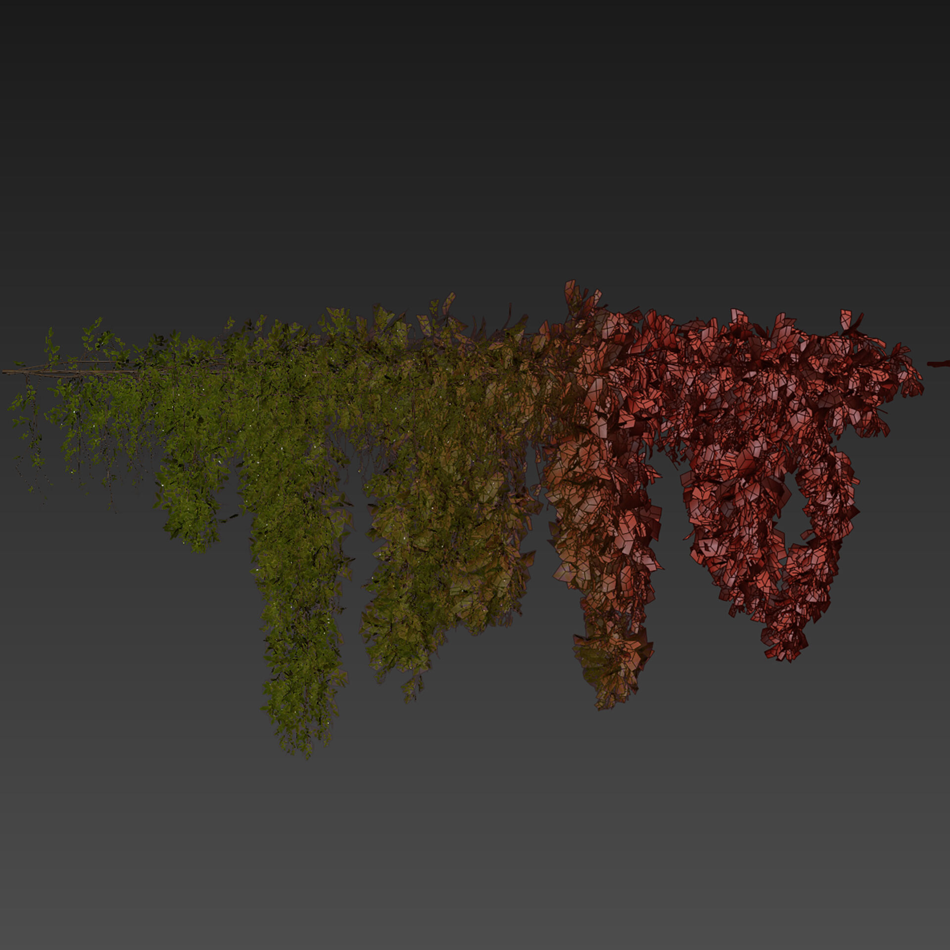 Realistic  - Vol 622 - 3d plant model - Ivy - Creeping 3D model_6