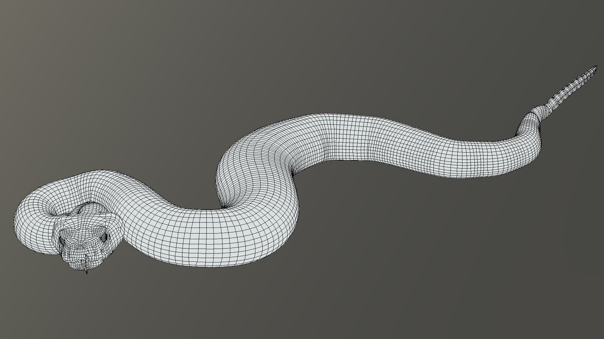 Western Diamondback Rattlesnake 3D model_6