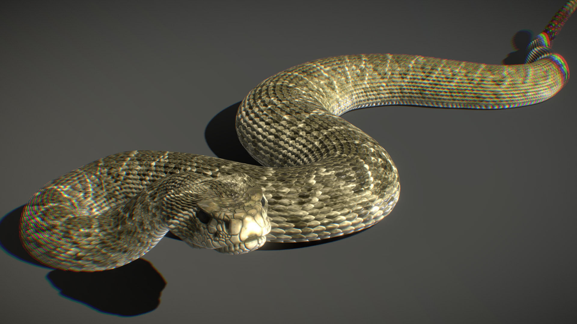Western Diamondback Rattlesnake 3D model_2