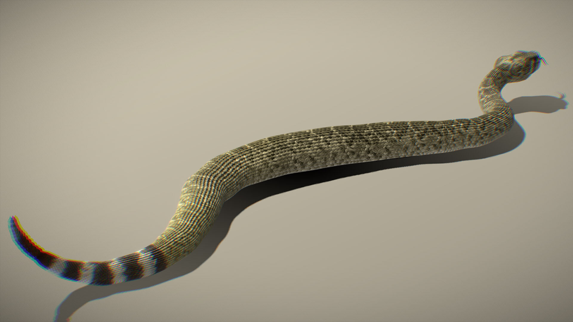Western Diamondback Rattlesnake 3D model_3