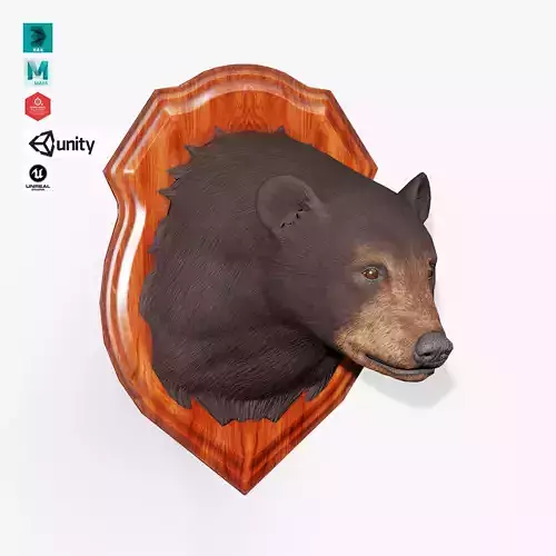 Trophy Bear