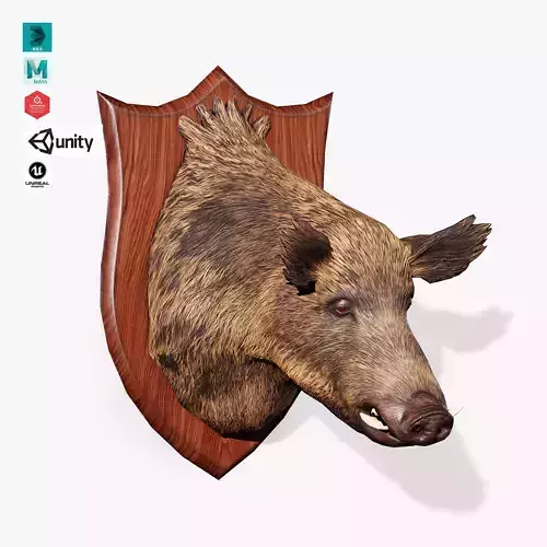 Trophy Boar