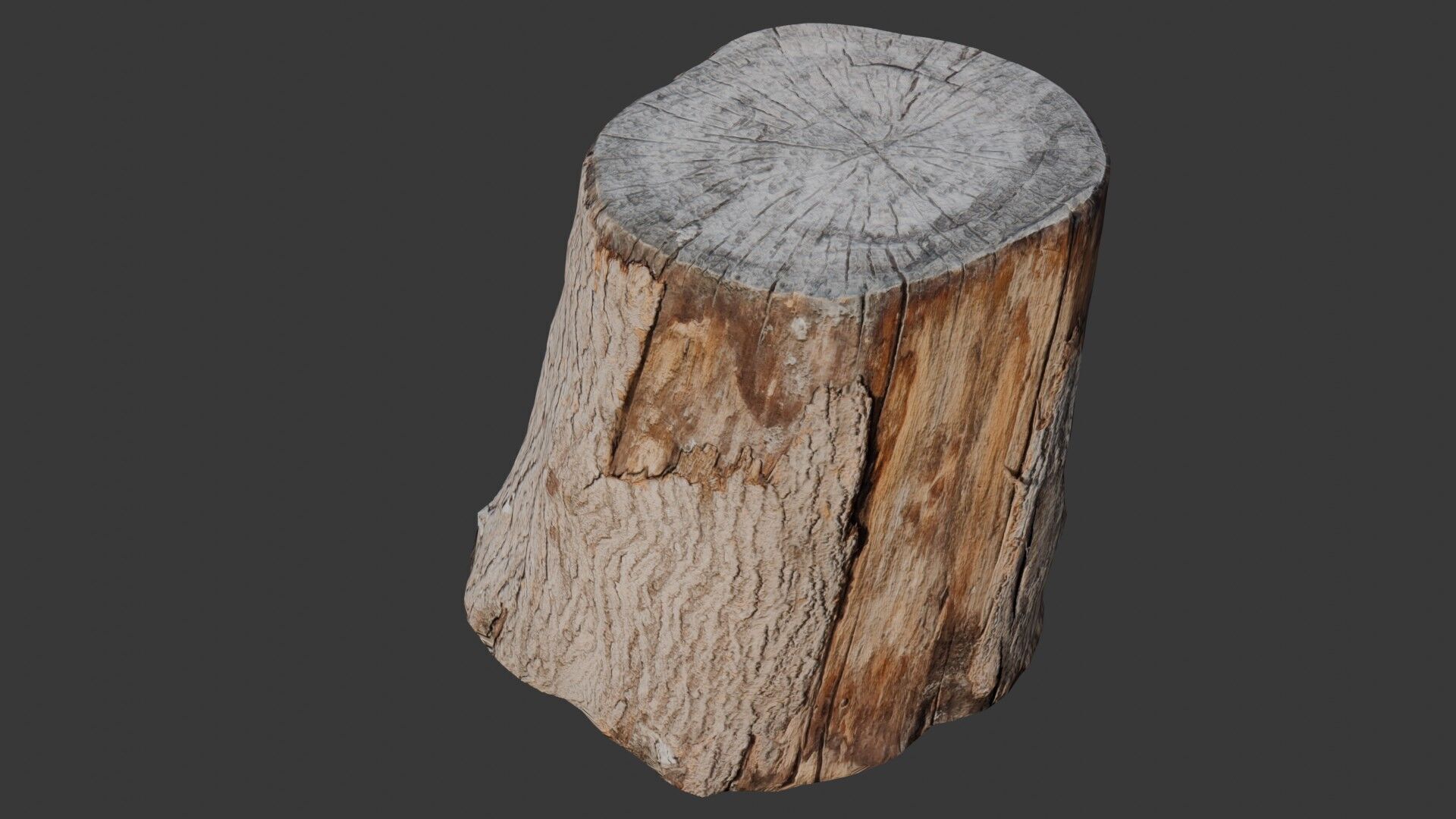 Realistic Tree Stump Low-poly 3D model_7