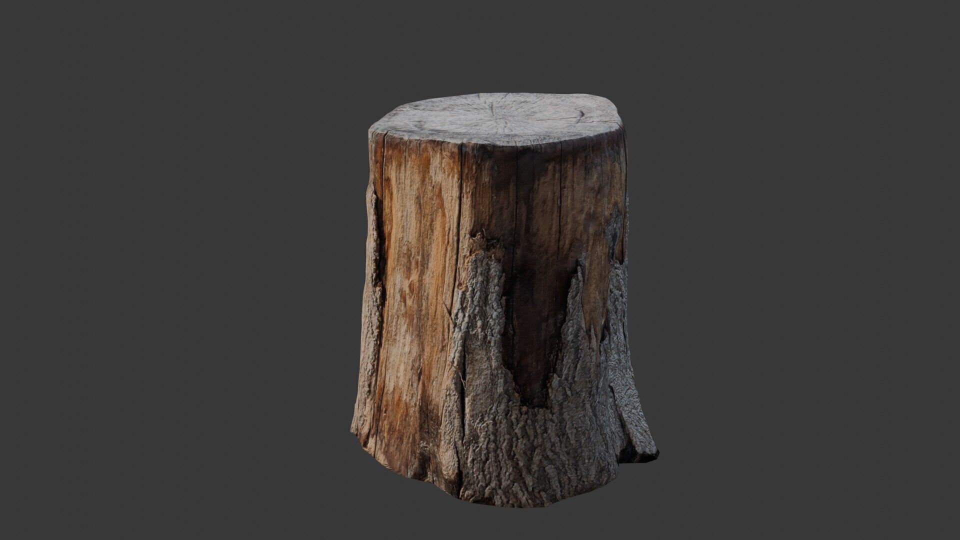 Realistic Tree Stump Low-poly 3D model_6