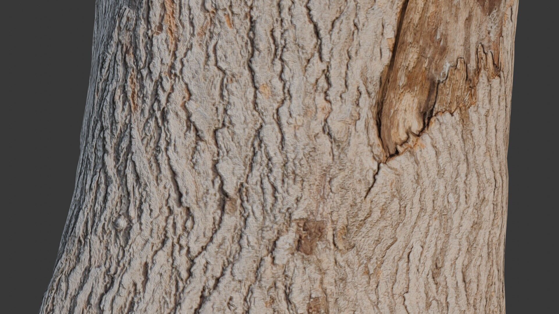 Realistic Tree Stump Low-poly 3D model_3