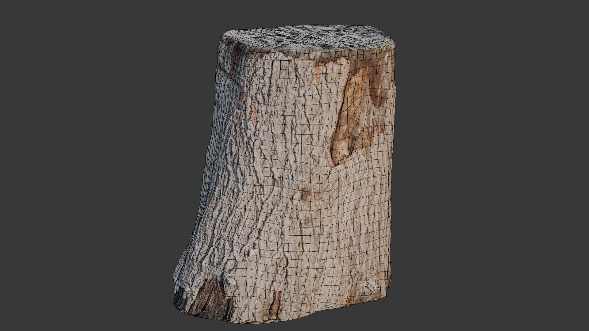 Realistic Tree Stump Low-poly 3D model_2