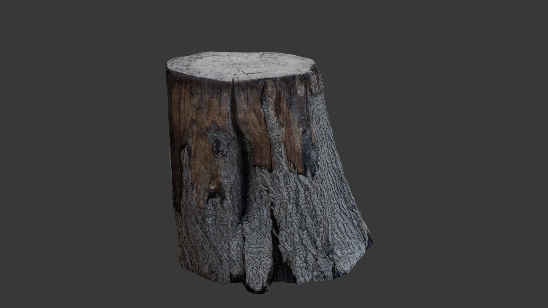 Realistic Tree Stump Low-poly 3D model_5