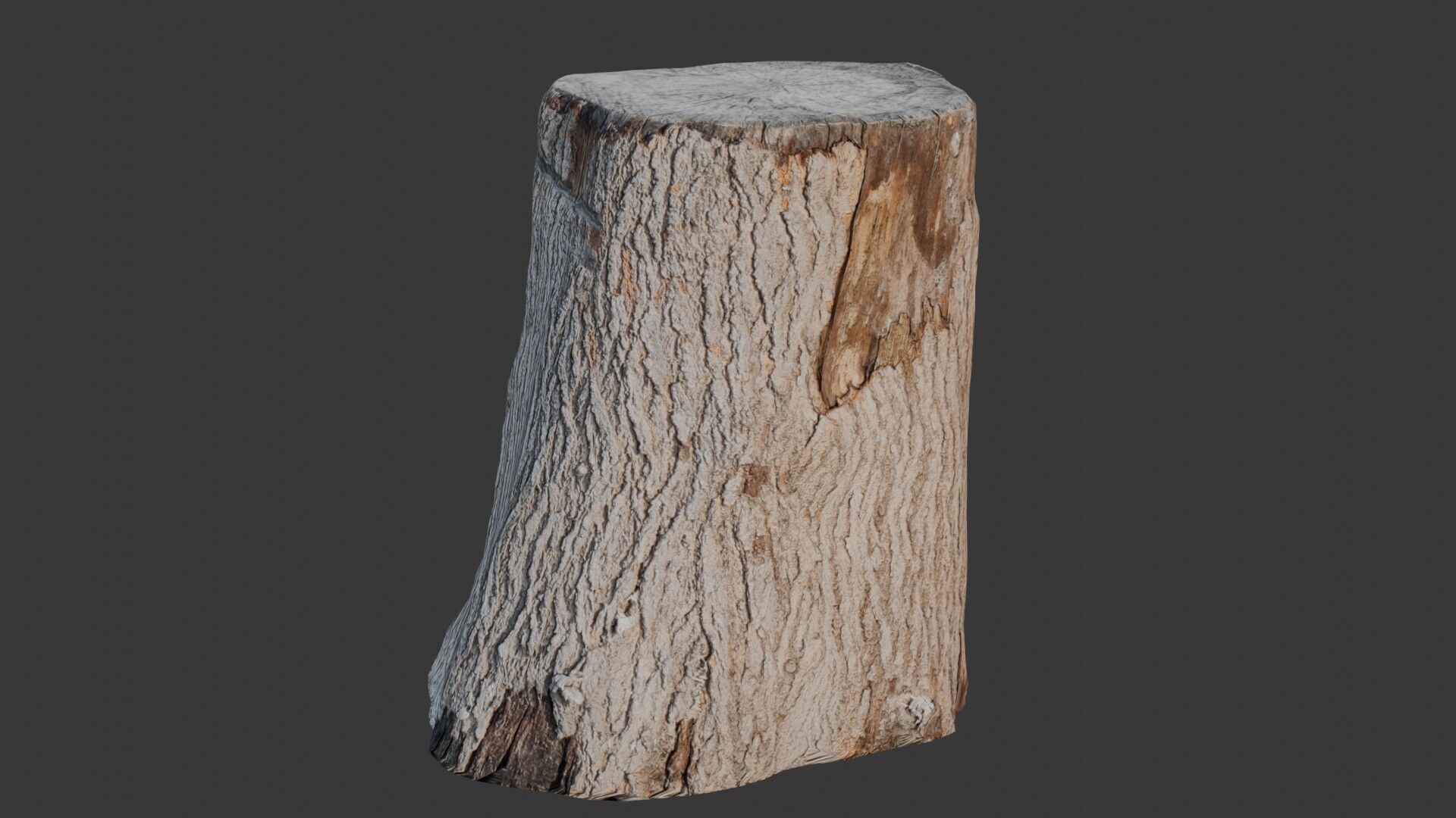 Realistic Tree Stump Low-poly 3D model_1
