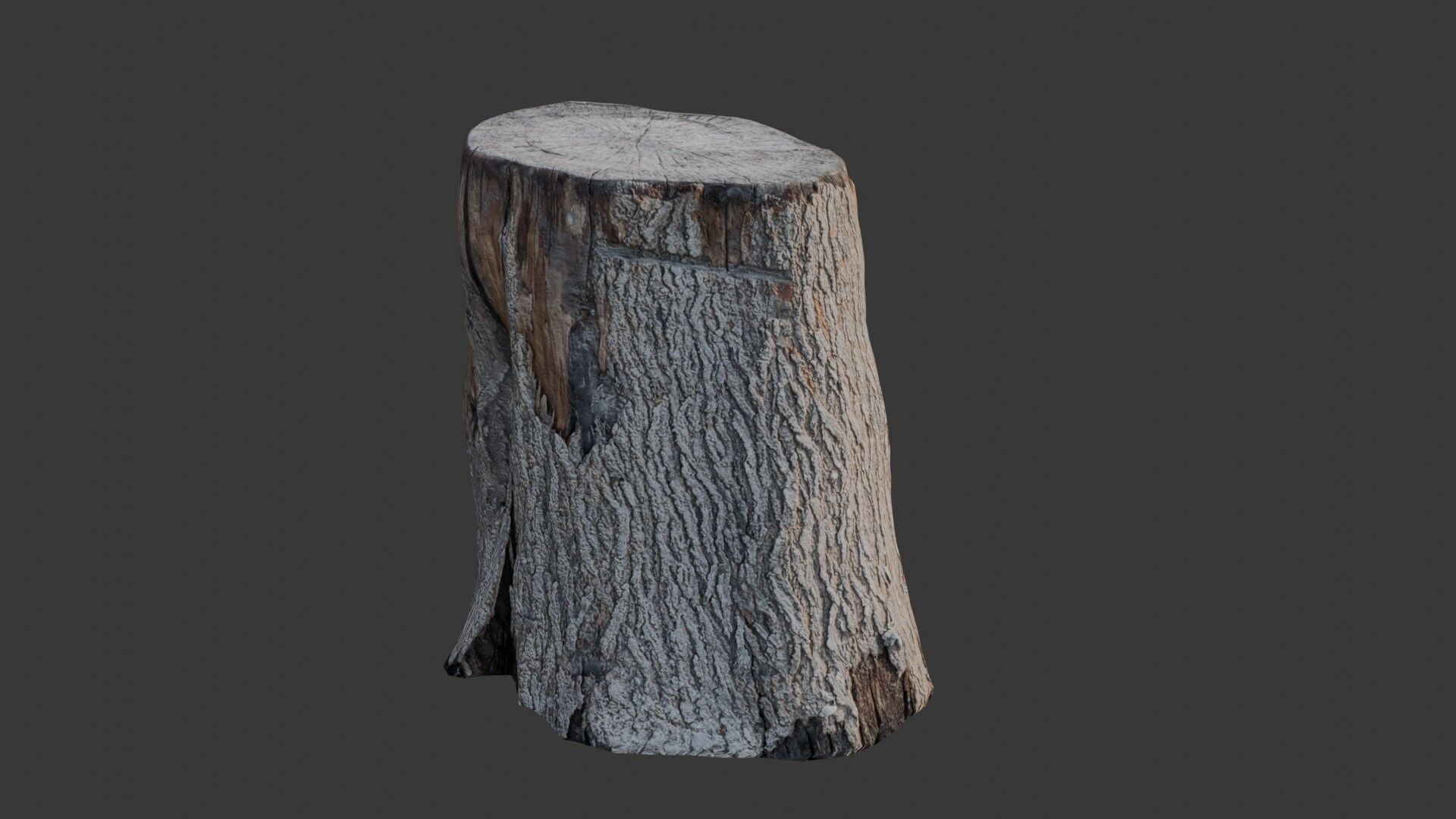 Realistic Tree Stump Low-poly 3D model_4