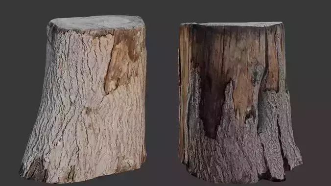 Realistic Tree Stump  Low-poly 3D model