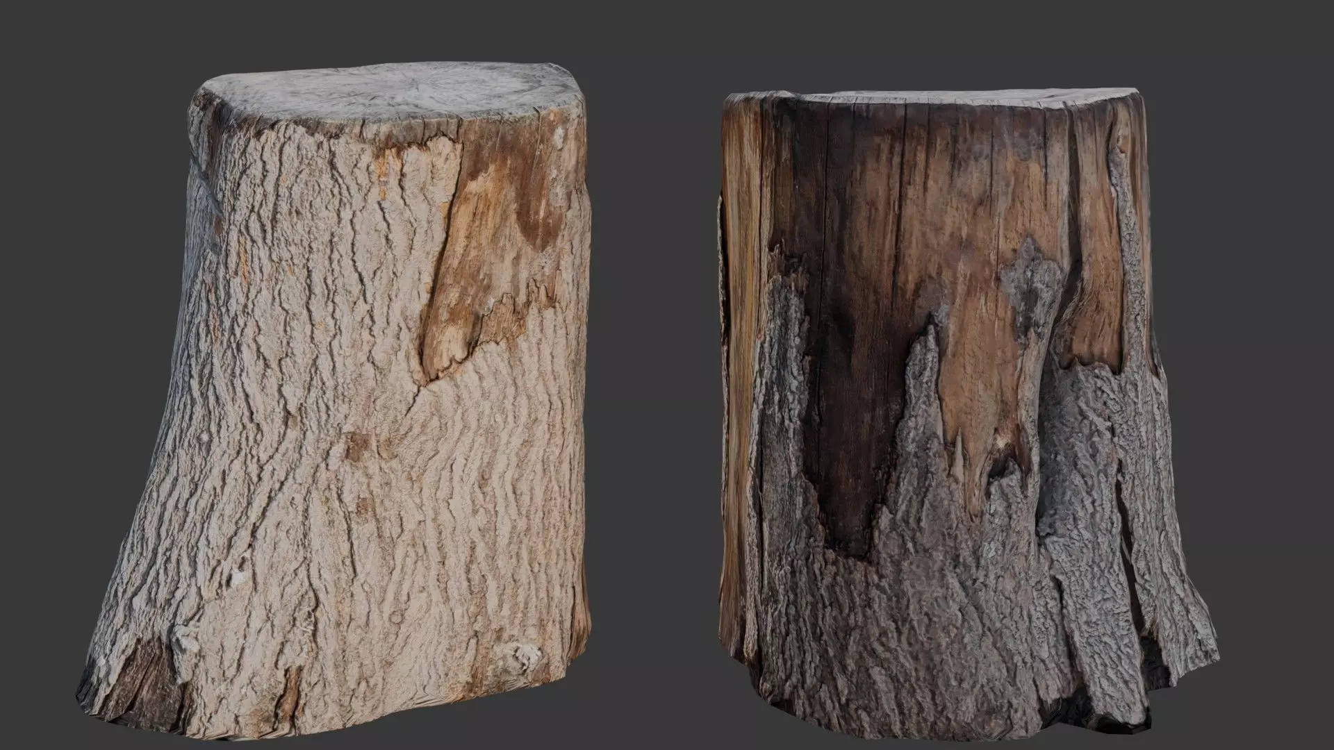 Realistic Tree Stump Low-poly 3D model_0