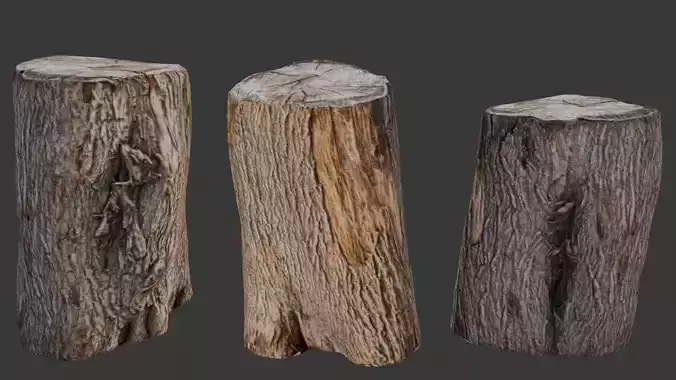 Tree Trunk Scan