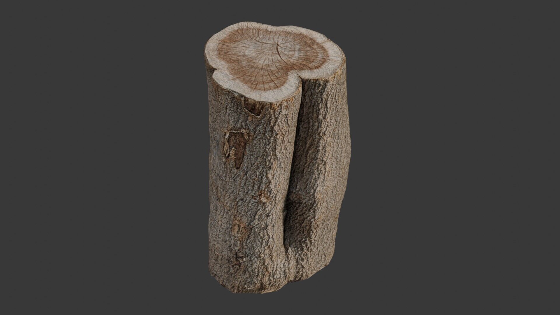 Tree Stump Scan Low-poly 3D model_4