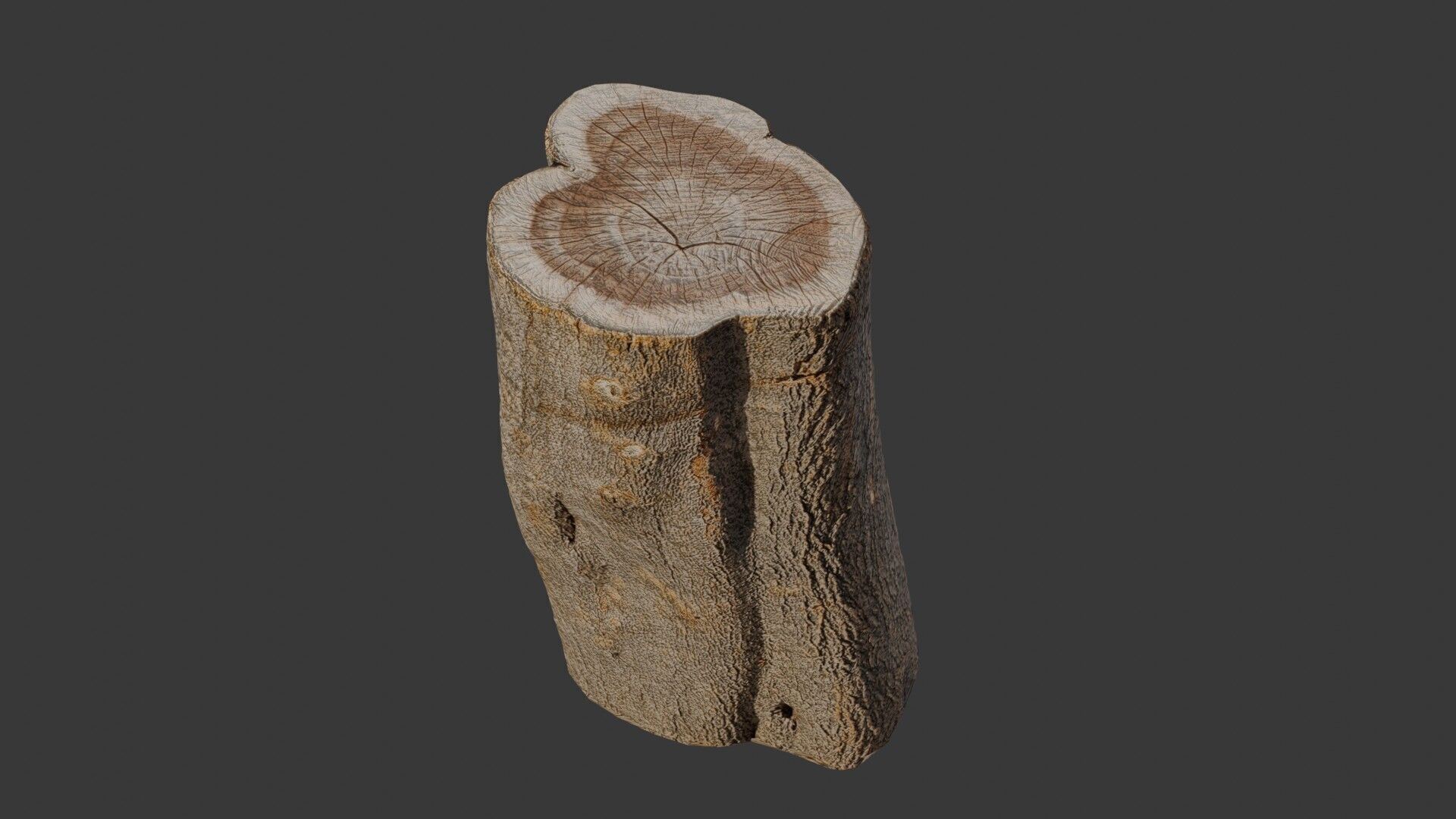 Tree Stump Scan Low-poly 3D model_6