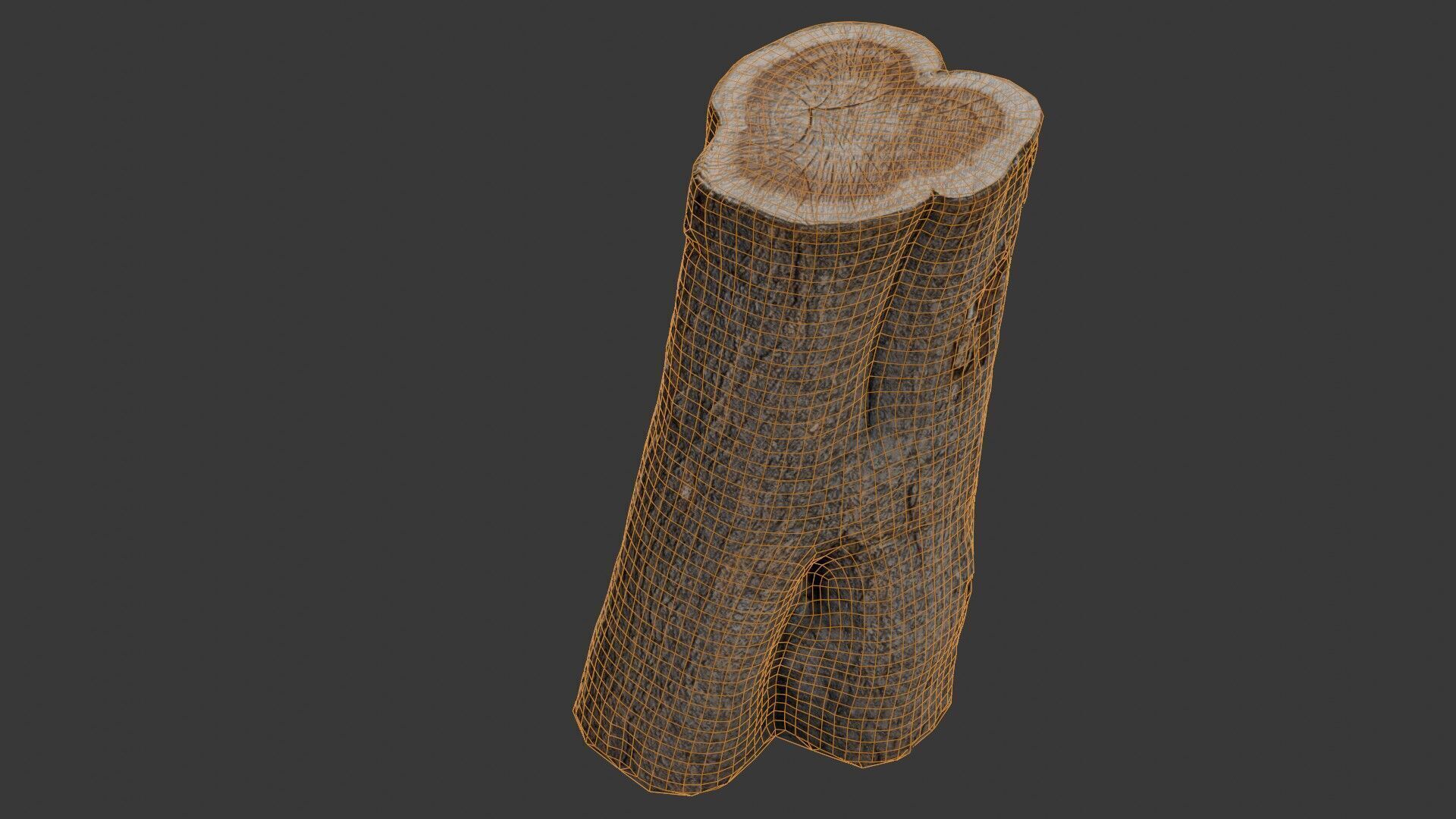 Tree Stump Scan Low-poly 3D model_2